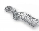 Veryan Medical Ltd BioMimics 3D Vascular Stent System | Which Medical Device